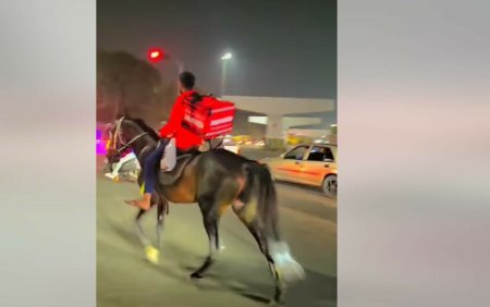 Un curier din India s-a saturat sa stea la cozile lungi de la benzina si a livrat mancare calare pe cal. VIDEO