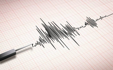 Cutremur cu magnitudinea de 5,3, raportat joi seara. Unde a fost resimtit