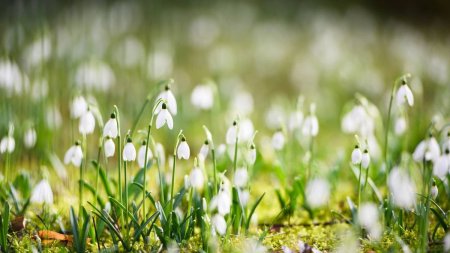 Meteorologii ANM anunta o noua schimbare a vremii in Romania: Temperaturi peste cele normale