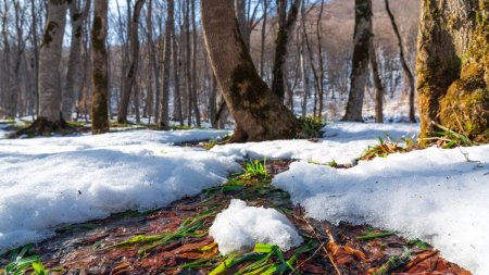 Temperaturi mai mari decat normalul perioadei. De cand se schimba vremea | Alina Serban, noua prognoza de la ANM