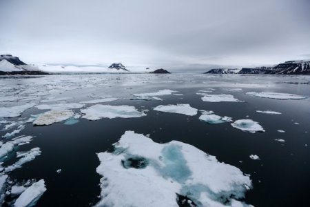 Arctica ar putea ramane fara gheata mai repede decat era estimat