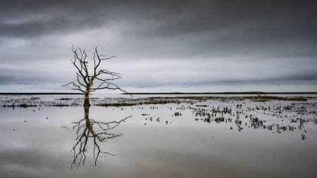 Europa trebuie sa se pregateasca pentru schimbari catastrofale ale climei. Avertismentul Agentiei de Mediu a UE