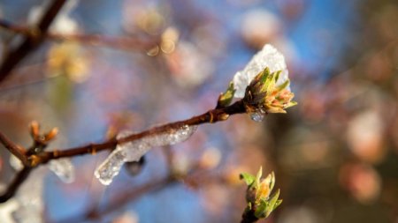 Vremea se schimba din nou in Romania! Prognoza meteo pentru urmatoarele doua saptamani