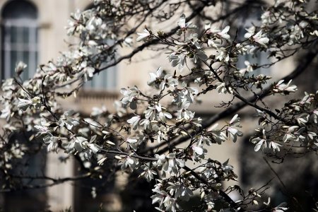 Vremea in urmatoarele patru saptamani. Meteorologii anunta temperaturi mai ridicate decat cele obisnuite