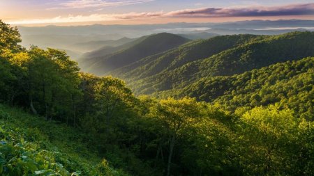 Motivul pentru care un grup de activisti de mediu cumpara suprafete uriase de teren in Romania: Este un proiect ambitios