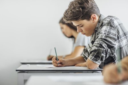 Programa Informatica Bac 2024 – Teme de studiu pentru Bacalaureat