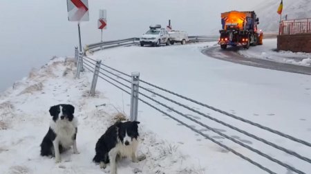 Zapada de peste 4 metri pe Transfagarasan. Drumarii intervin in zona