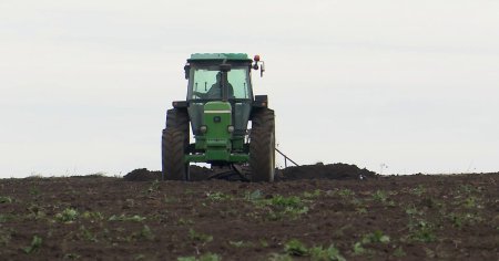 Sectorul productiei ecologice se numara printre cele mai dinamice domenii din UE si din Romania