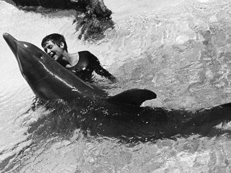 <span style='background:#EDF514'>EXPERIMENTUL</span> interzis de NASA: relatia fascinanta dintre o femeie si un delfin