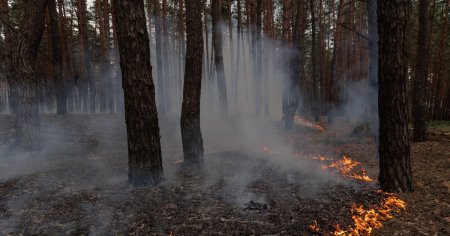 Comandantul trupelor de pe frontul din Harkov, inlocuit in plina ofensiva a Rusiei. Oficial ucrainean: S-au construit fortificatii la Vovceansk