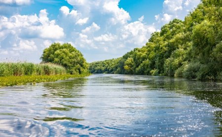 Raport WWF: Subventiile agricole acordate in Delta Dunarii sunt daunatoare naturii si comunitatilor din zona