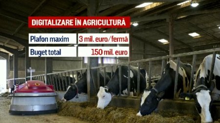 Ferme romanesti modernizate cu bani europeni. Ce fel de roboti rezolva problema crizei fortei de munca