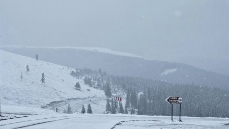 O zi placuta, de la Ranca | <span style='background:#EDF514'>NINGE</span> in toiul lunii mai, pe Transalpina. Avertisment pentru soferi