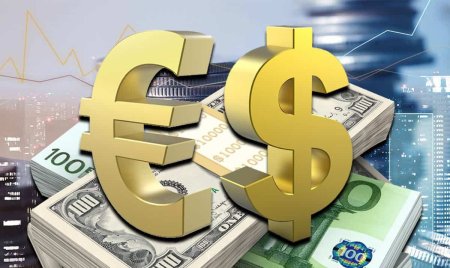 Raport BNR: Cursul de schimb leu-euro a fost in linii generale similar cu evolutiile din regiune