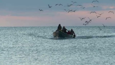 Ce au prins <span style='background:#EDF514'>PESCARI</span>i romani in Marea Neagra. S-au intors cu barcile pline
