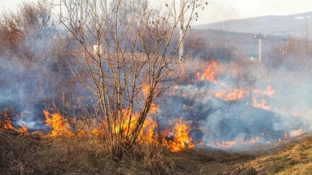 O persoana a murit, alte doua au fost ranite, intr-un incendiu de vegetatie, in comuna <span style='background:#EDF514'>DUMBRAVENI</span> din Vrancea