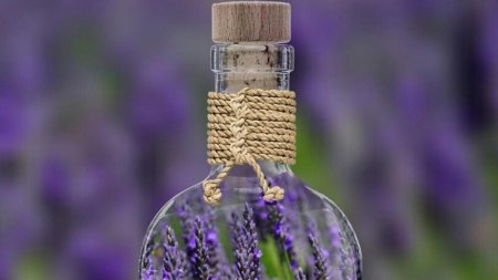 Retete cu lavanda: arome si culoare in farfurie