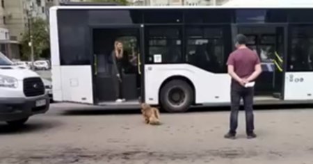 Imagini incredibile in Iasi. Risca o pedeapsa uriasa dupa ce si-a lovit cainele cu poseta VIDEO