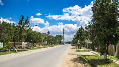 Realizarile unui mandat: O comuna bogata din Teleorman toaca banii pe pavele, garduri, gratare in curtea scolii si studii de fezabilitate inutile