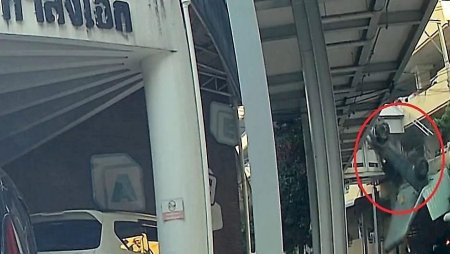 Momentul in care o masina cade de la etajul 4 al <span style='background:#EDF514'>PARCARI</span>i unui spital din Bangkok. Cum s-a produs accidentul | VIDEO