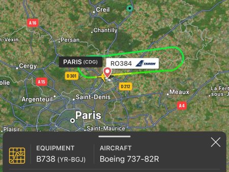Probleme la un zbor TAROM pe ruta Paris-Bucuresti - Aeronava a lovit pasari si a revenit pe aeroportul de unde a plecat imediat dupa decolare / Avionul se afla in continuare pe aeroportul Charles de Gaulle