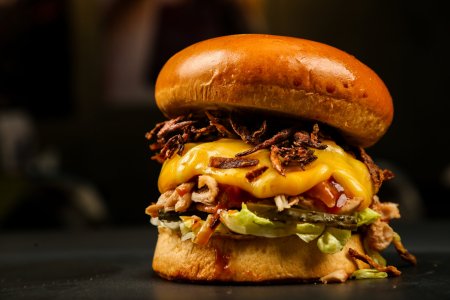 ,,Carciuma Circus Pub din Bucuresti, premiul unu la Burger Fest 2024, pentru chifla cu Cig Kofte