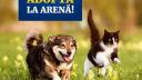 Cel mai mare targ de adoptii de animale de companie din Bucuresti, la Arena Nationala