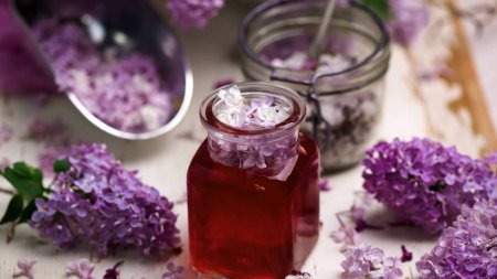 Siropul aromat din flori de liliac | Are o multime de beneficii pentru sanatate. Reteta simpla de preparare acasa