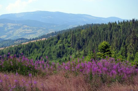 Muntii din Romania care apar in topul celor mai bune trasee de drumetie din Europa