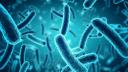 Studiu: Peste 750.000 de decese cauzate anual de rezistenta antimicrobiana ar putea fi evitate prin masuri de preventie
