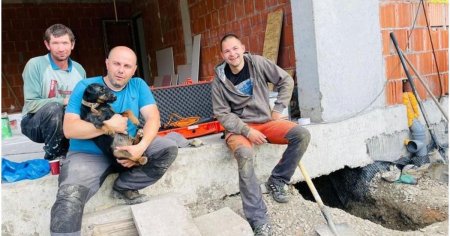 Catelus salvat dupa 8 ore dintr-o vizuina de vulpe, in Cluj. Max, un caine care a cautat victime la cutremurul din Turcia, a ajutat la misiune