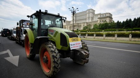 Alegerile salveaza linistea Guvernului. Fermierii opresc protestele  din cauza infiltratilor politic