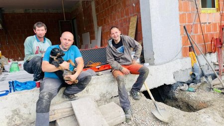 Un caine intrat intr-o vizuina de vulpe, sub fundatia unei case din Cluj, a fost salvat dupa 8 ore cu ajutorul unui alt caine antrenat sa caute victime la cutremure