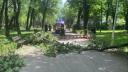 Un copac a cazut peste doi tineri, in Parcul Bazilescu, ranindu-i grav. Fata aflata in scaun cu rotile are <span style='background:#EDF514'>COLOANA</span> afectata