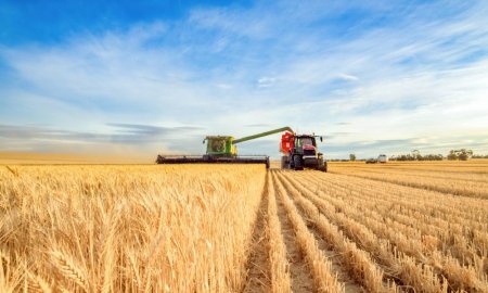 Kremlinul isi extinde controlul asupra cerealelor rusesti tocmai cand pretul graului explodeaza