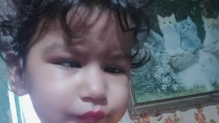 Raisa, fetita de 2 ani disparuta in Dolj, nu a fost gasita. Peste 100 de oameni o cauta. Cand a plecat era <span style='background:#EDF514'>DESCULT</span>a