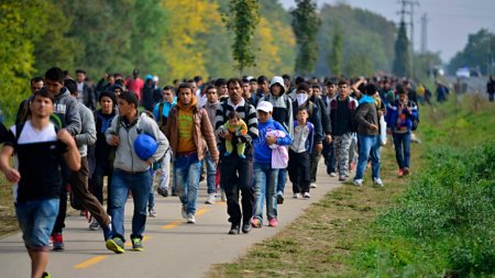 Analiza: Sondajele arata ca tinerii sunt mai anti-imigratie decat batranii in anumite parti ale Europei