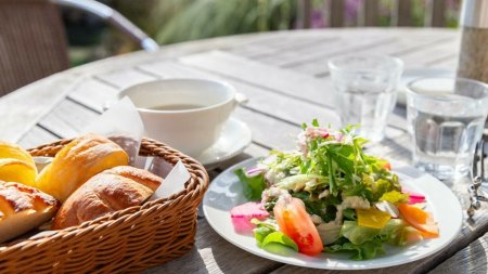 Clientul unei terase din Sibiu a gasit un melc in salata. Reactia conducerii: O dovada vie a naturii noastre ecologice