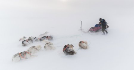 Morten Hilmer, unul dintre cei cunoscuti fotografi europeni, este invitatul special al LYNX Festival 2024