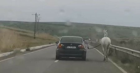 Cal plimbat cu BMW-ul. Imagini virale pe internet: Nu fiti rautaciosi!! E Moldova, nu Austria... VIDEO