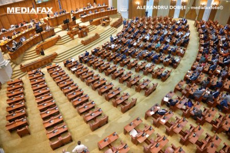 Camera Deputatilor isi deschide portile de Ziua Copilului