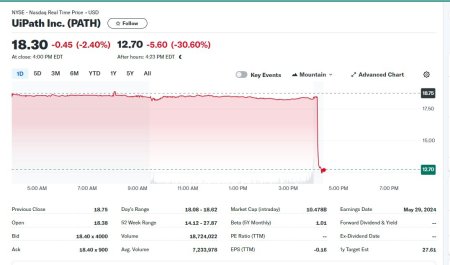 BREAKING! UiPath este in cadere libera pe Bursa de la New York. Actiunile UiPath se prabusesc cu 30% after-hours dupa raportarea rezultatelor pe primul trimestru fiscal. Rob Enslin demisioneaza din functia de CEO. Daniel Dines revine la carma companiei