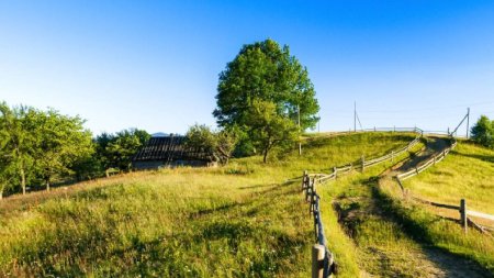 Afacerea de succes cu care doi tineri din Gorj au dat lovitura: Foarte frumos. N-am vazut niciodata asa ceva