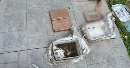 Cocaina in valoare de un milion de euro, gasita ingropata in curtea unei case din judetul Giurgiu