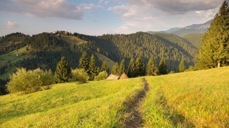 Prognoza meteo ANM, pentru perioada 1 iunie - 1 iulie, in Romania. Vremea va fi calda si uscata in prima luna de vara din 2024