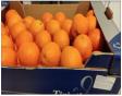 Preturile sucului de portocale sunt in crestere, fortandu-i pe unii producatori sa ia in considerare alte fructe