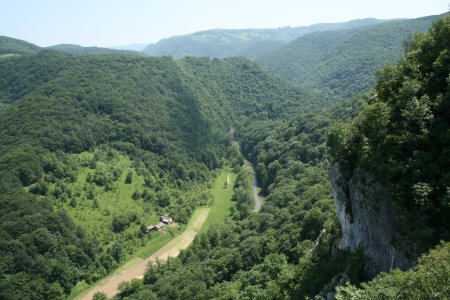 S-a taiat, dar s-a si plantat. Suprafata padurilor din Romania a crescut cu cateva mii de hectare