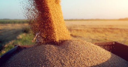 Cel mai mare terminal de transbordare a cerealelor din Europa a fost inaugurat la Dornesti