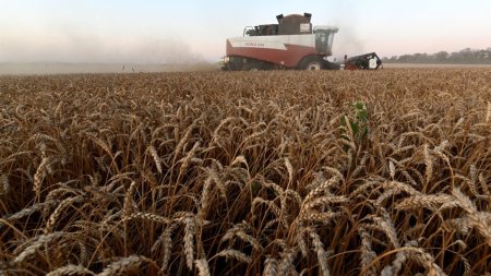 Masurile PSD de sustinere a agriculturii fac din Romania un lider european