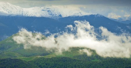 Cel mai mare animal din Europa, aparitie rara in padurile din Romania. In ce regiune a tarii a avut loc momentul spectaculos. VIDEO